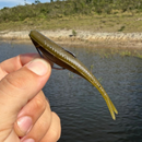 Slide Shad 9 cm – Kit com 5 Iscas Soft para Robalo, Tucunaré e Bass - Cor Musgo