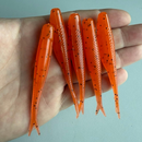 Slide Shad 9 cm – Kit com 5 Iscas Soft para Robalo, Tucunaré e Bass - Cor Pumpkin