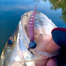 Kit Camarão Artificial 8 CM e Jig Heads - 24 itens