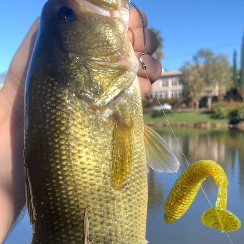 Total Shad 10,5 cm - Pacote com 4 Unidades - Cor Chart Silver Red