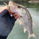 Kit 30 Camarões Ovados + 10 Jig Heads - Combo Promocional