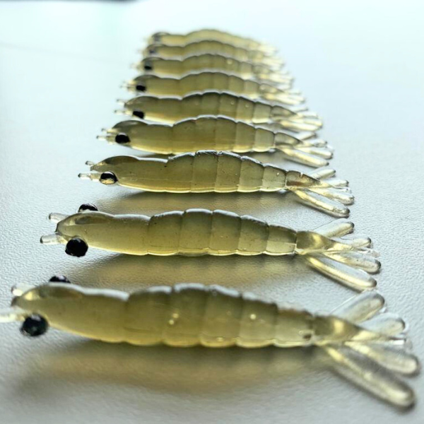Kit Camarão DKV 9 cm + Jig Head - 15 Unidades