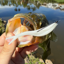 Slide Shad 9 cm – Kit com 5 Iscas Soft para Robalo, Tucunaré e Bass - Cor Branco