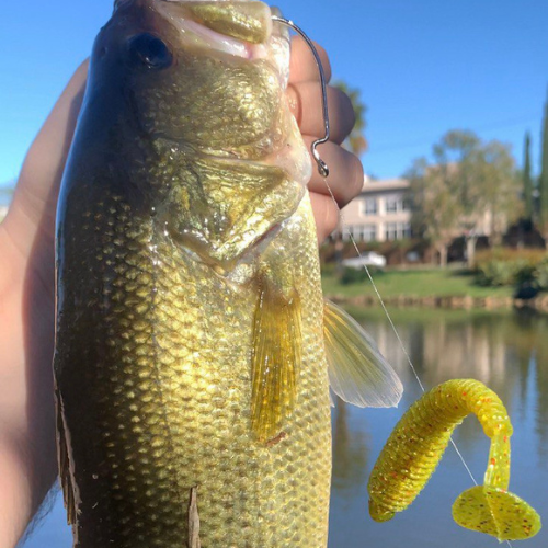 KIT Total Shad + Anzol Offset - 20 Itens