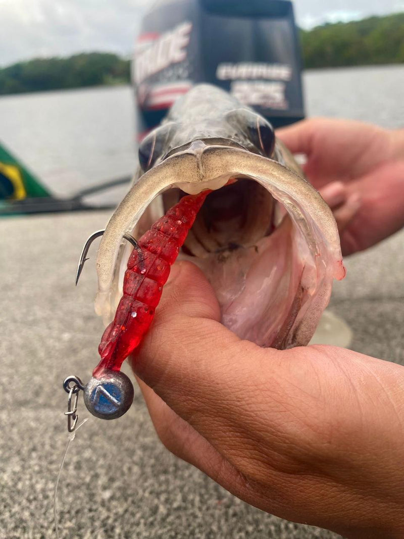 Kit Robalo - 30 Camarões + 10 Jig Heads