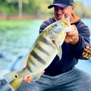 Kit Camarão Artificial 7 CM e Jig Heads - 24 itens