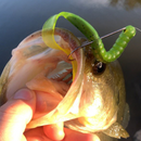 DKV Classic Worm - Cor Green Pumpkin Chart - Pacote com 8 unidades